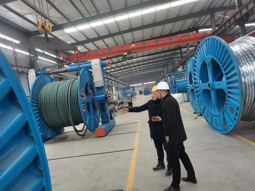 落實(shí)安全巡查 維護(hù)生產(chǎn)環(huán)境 河南華東電纜董事長(zhǎng)陳劍平深入制造中心指導(dǎo)電線電纜技術(shù)開發(fā)工作